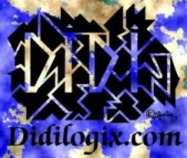 To the didilogix.com web site